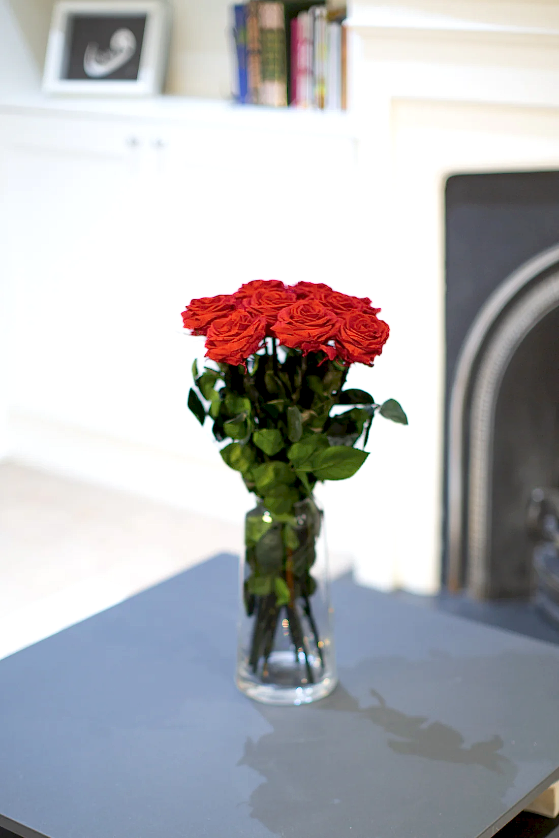 A Dozen Red Infinity Roses with Stem | Infinity Roses | Classic & Timeless Gift for Her