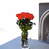 A Dozen Red Infinity Roses with Stem | Infinity Roses | Classic & Timeless Gift for Her