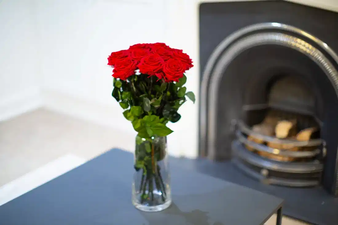 A Dozen Red Infinity Roses with Stem | Infinity Roses | Classic & Timeless Gift for Her