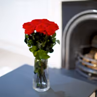 A Dozen Red Infinity Roses with Stem | Infinity Roses | Classic & Timeless Gift for Her