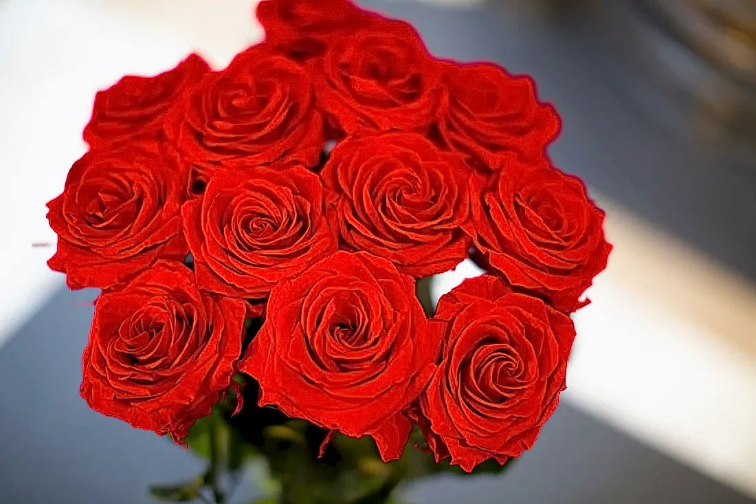 A Dozen Red Infinity Roses with Stem | Infinity Roses | Classic & Timeless Gift for Her