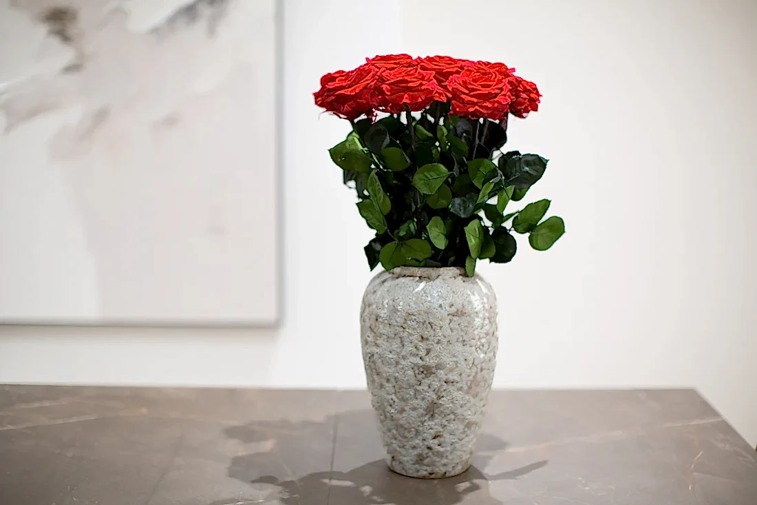 A Dozen Red Infinity Roses with Stem | Infinity Roses | Classic & Timeless Gift for Her