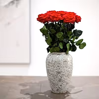 A Dozen Red Infinity Roses with Stem | Infinity Roses | Classic & Timeless Gift for Her
