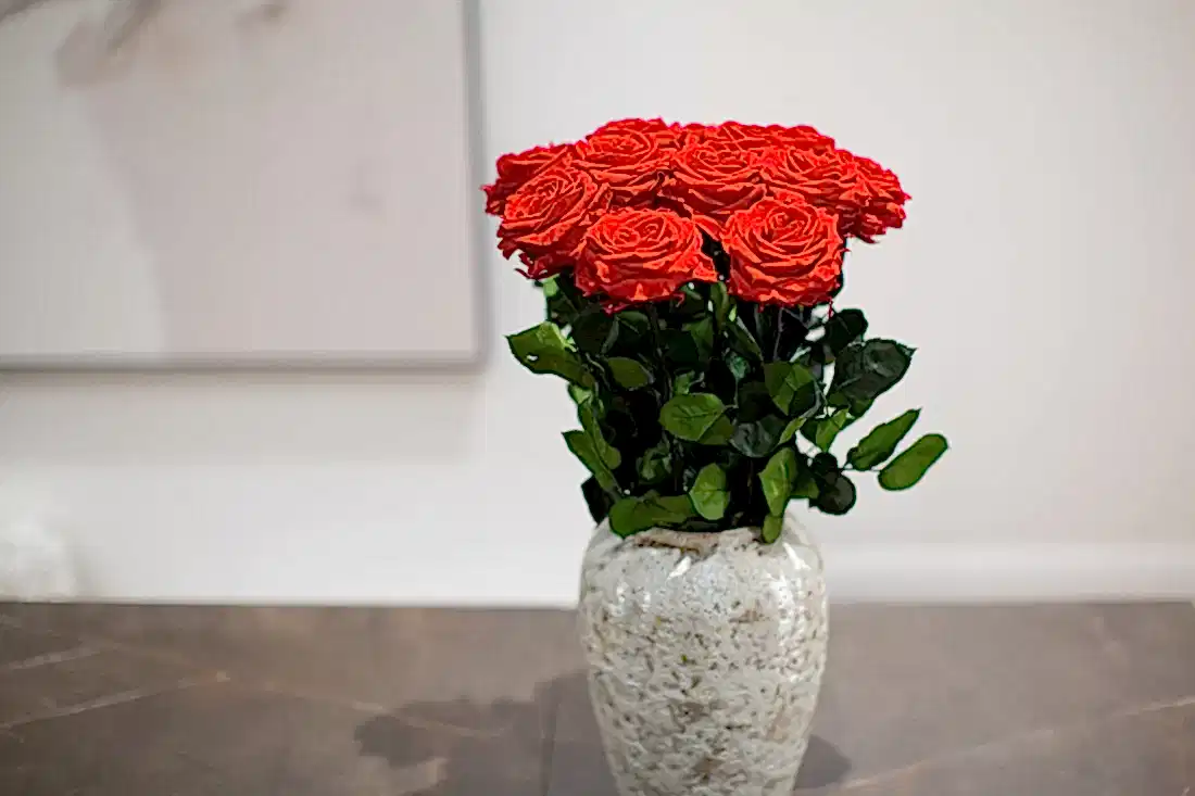 A Dozen Red Infinity Roses with Stem | Infinity Roses | Classic & Timeless Gift for Her