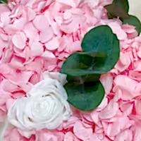 Preserved hydrangea and infinity roses bouquet. floral arrangement flower box for flower delivery
