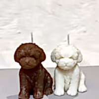 puppy dog cavapoo handmade candle gift delivered in uk