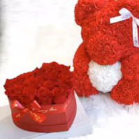 Red Rose Bear & Heart Shaped Rose Box Set | Elegant and Romantic Gift Set for Her