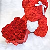 Red Rose Bear & Heart Shaped Rose Box Set | Elegant and Romantic Gift Set for Her