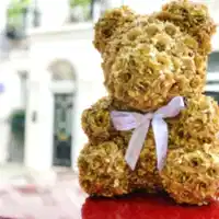 gold rose bear made of flowers