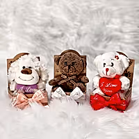 soft toys Teddy Bear gift for her delivered in UK