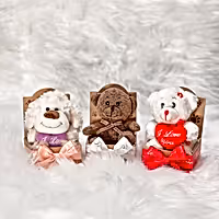 soft toys Teddy Bears gift for her delivered in UK