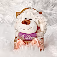 Soft toy Teddy dog gift for her delivered in UK
