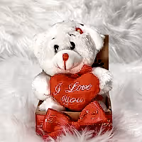 soft toy Teddy Bear gift for her delivered in UK