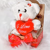 soft toy Teddy Bear gift for her delivered in UK