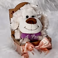 soft toy Teddy dog gift for her delivered in UK